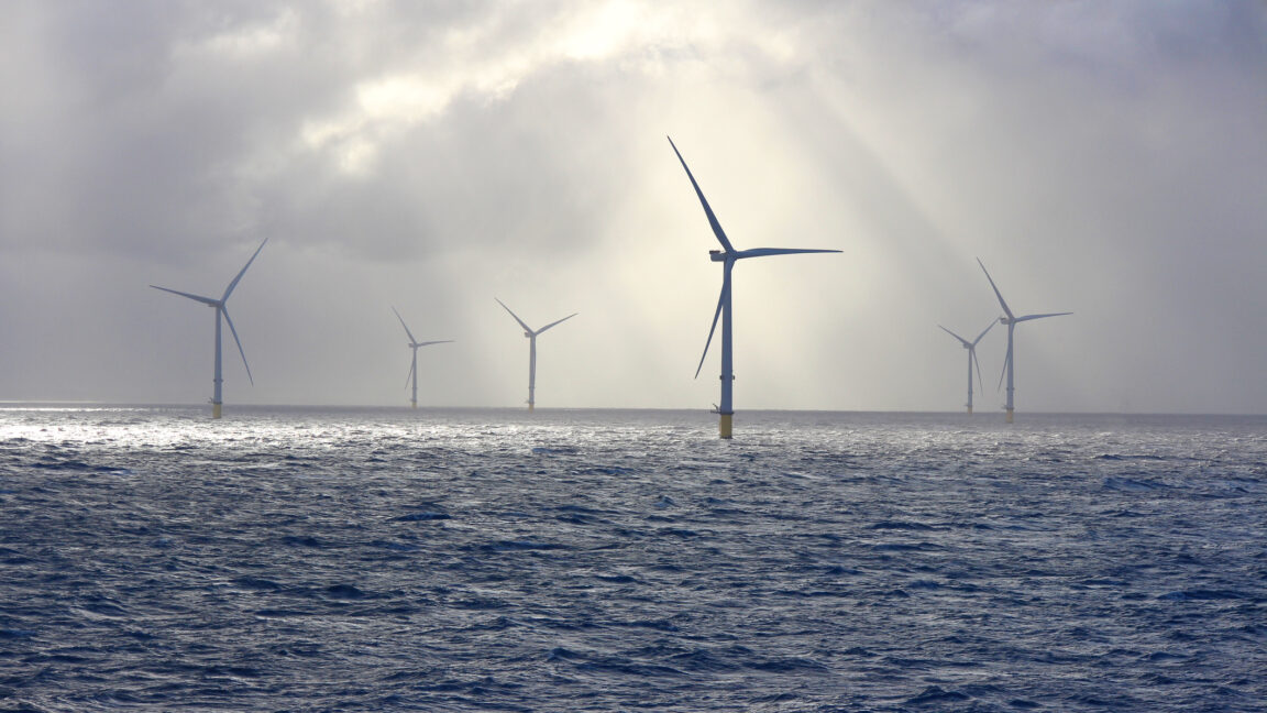 Trump administration drops appeal over wind energy freeze