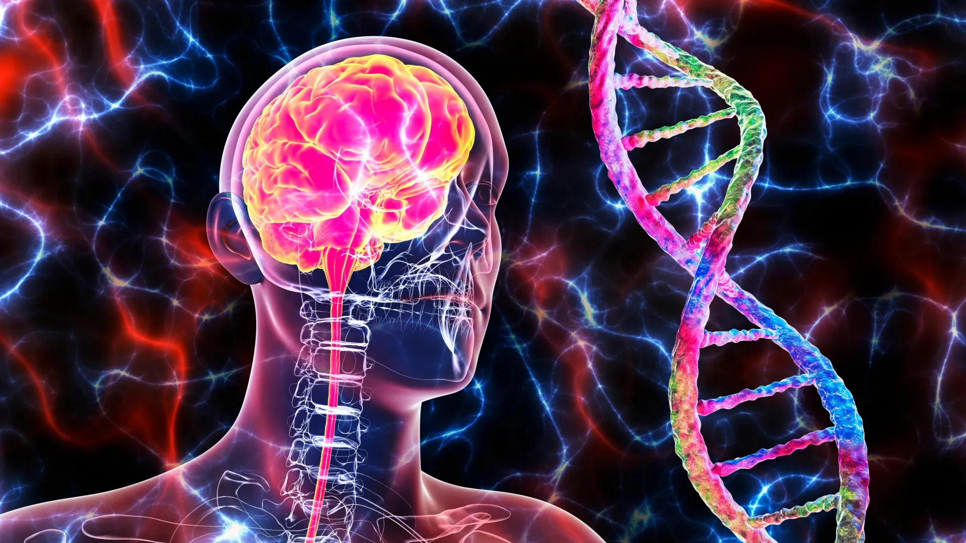 Study links cancer-related immune cell mutations to Alzheimer’s