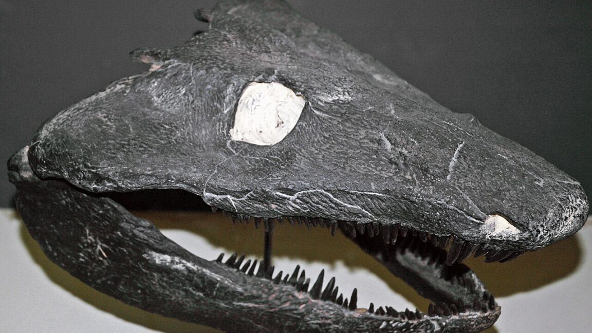 Fossil hatchlings challenge tadpole model for first land vertebrates