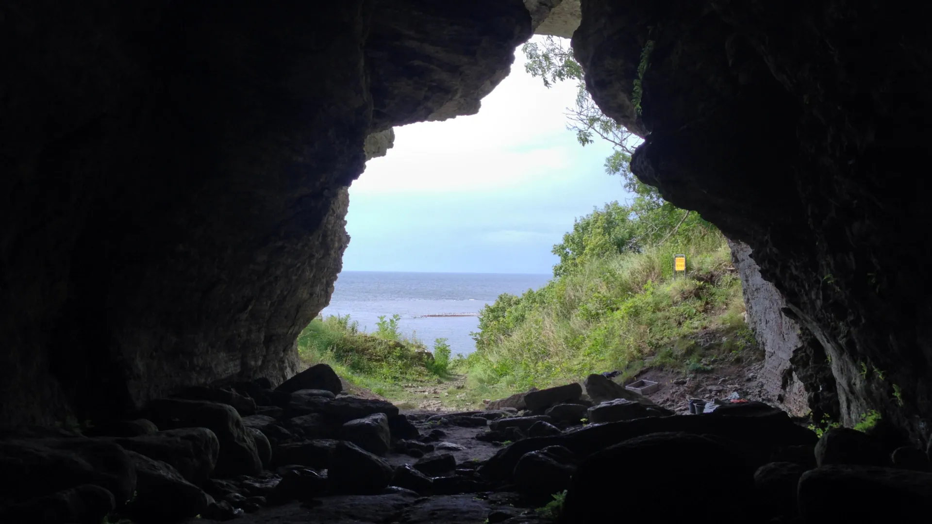 Ancient island wolves point to closer ties with prehistoric people