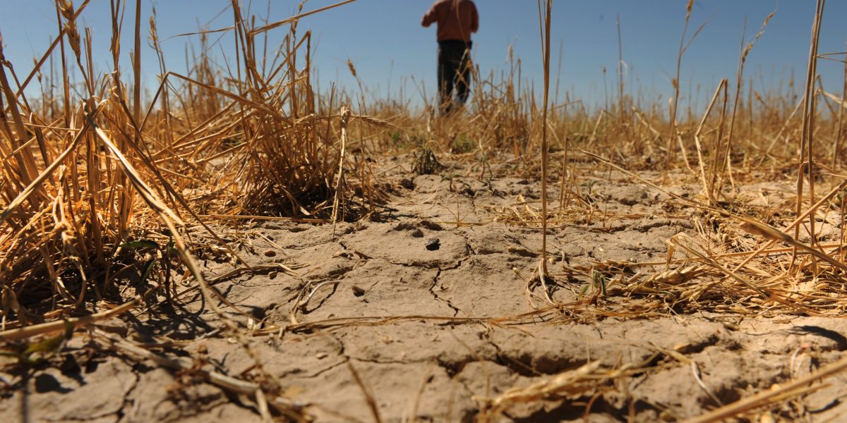 El Niño forecasts raise risks for food prices and global growth