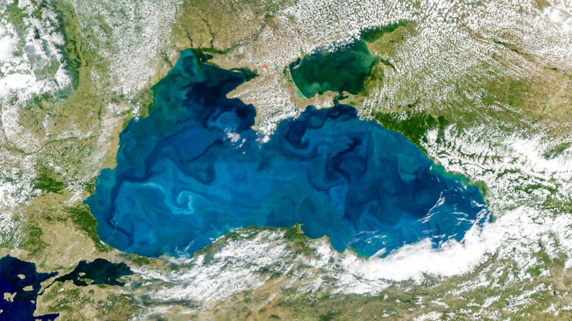 Seasonal plankton bloom paints the Black Sea turquoise from orbit