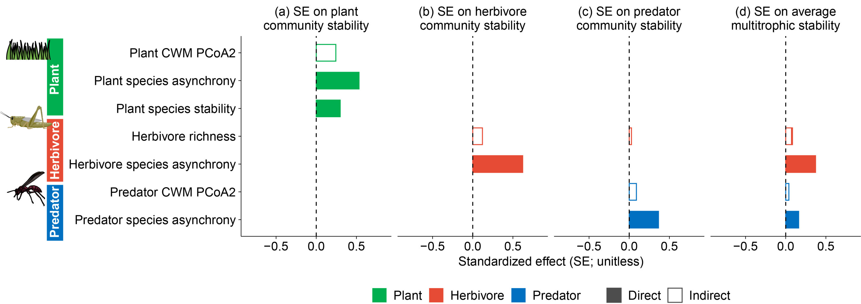 Herbivores drive grassland food web stability, study finds